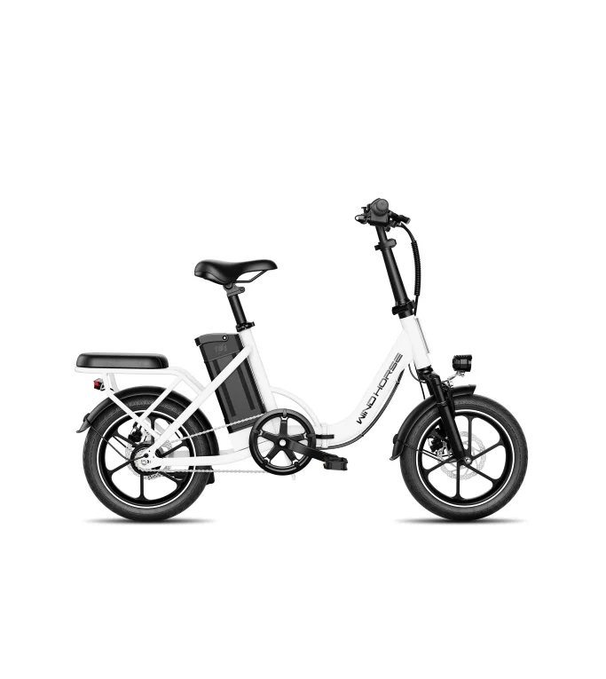 WINDHORSE W2B Folding Electric Bike with 350W High Speed Motor 40 KM/H Speed, 35 KM Range, Dual Disk Brakes, Carbon Alloy Frame and 16 Inches Tires