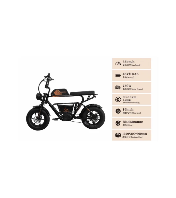 Kugoo T31 City Harley Electric Bike